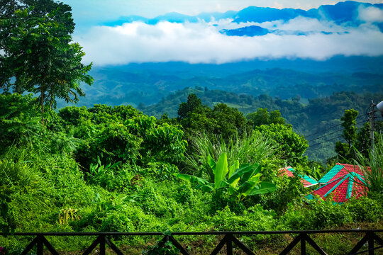 beautiful scenery of sajek valley in cloudy environment with a full of green
