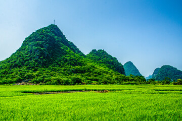 Rice fields in the mountains