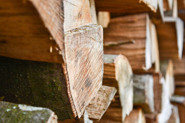 Fototapeta na wymiar Holzscheit auf Holzstapel 