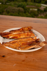 Sea Food 