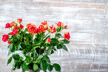 rose composition in vase with fresh flowers on wall background mock up