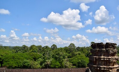 Obraz premium Tree line with blue sky with white clouds and an old tower