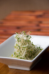 Alfalfa sprouts in a square white dish on bamboo