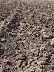 Arable land. Preparing field for planting. Plowed soil in spring time . Agricultural work.
