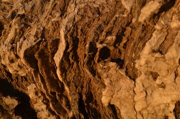 rock surface
