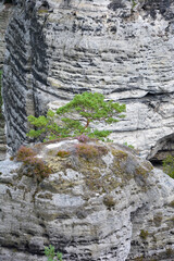 Hruboskalsko Felsentadt in Böhmen Tschechien