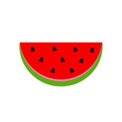 vector watermelon. abstract fruit illustration