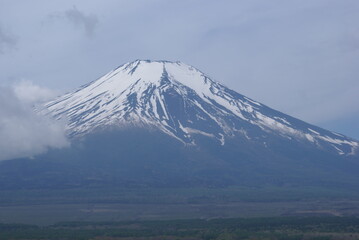 Mt fuji
