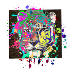 tiger head illustration color art