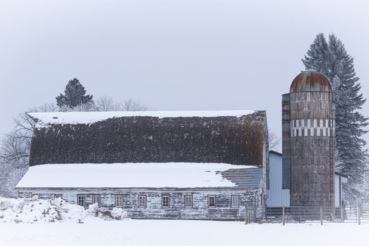 Old White Barn And Silo In Midwest Winter Scene