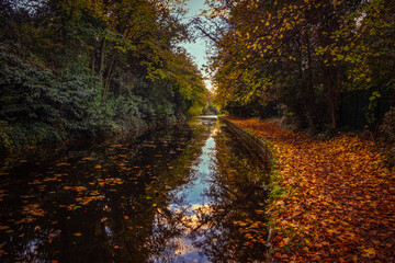 The Chesterfield canal towpath covered in autumnal leaves