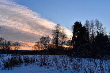 Cirrus clouds and red sunset over the trees. In the foreground there is snow and dry blades of grass.