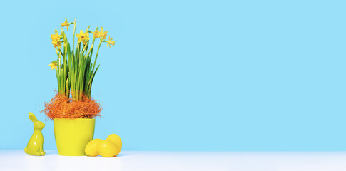 Bouquet of yellow spring daffodils and dyed Easter eggs with a bunny. White table on blue background. Happy Easter abstract greeting card or banner. Copy space for text