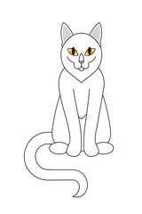 White cat isolated on white background Sitting cat