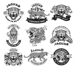 Monochrome labels with jaguar vector illustration set. Retro tattoo design with wild leopard. Wildlife and big cats concept can be used for retro template - obrazy, fototapety, plakaty