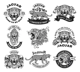 Foto op Plexiglas Monochrome labels with jaguar vector illustration set. Retro tattoo design with wild leopard. Wildlife and big cats concept can be used for retro template © Bro Vector