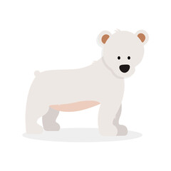 White bear  on white background