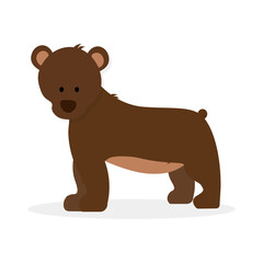 Brown bears on white background