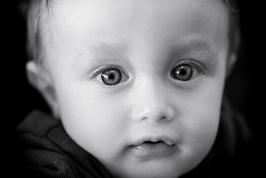 Alcelvision Photos Images Fichiers Adobe Stock