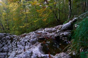 Rocky bed of a mountain stream.