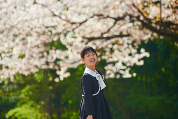 桜満開の公園で遊んでいる小学生の一年生の子供の様子