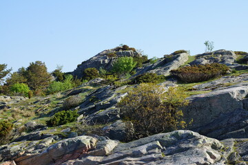 Kristiansand fjord
