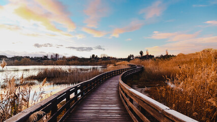 Sunrise over a pond in Terramaini park, crisp water, plants and a wooden bridg