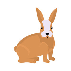 Fototapeta na wymiar Rabbit. Vector illustration in modern flat style. Rabbit icon isolated on white background. For your design.