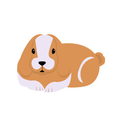 Rabbit. Vector illustration in modern flat style. Rabbit icon isolated on white background. For your design.