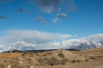 Torres del Paine