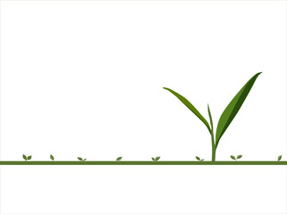 Growing sapling illustration For business leaders, investment growth, new startups.