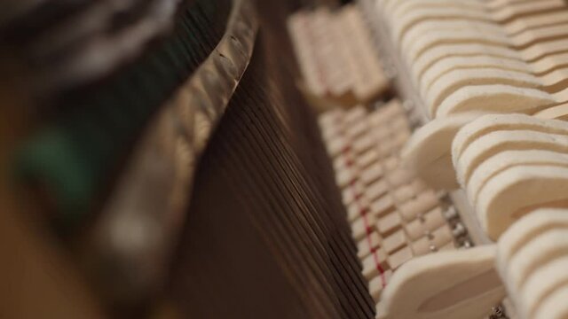 Piano hammers knock on strings, close-up from inside. Concept of the device of the piano. String percussion-keyboard musical instrument.