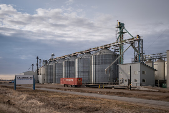 Wilson Siding, Alberta - March 21, 2021: modern grain handling facility outside the city of Lethbridge.
