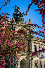 Fototapeta premium Dresden Semper Opera theatre (Semperoper), front view in spring. Blooming branches on foreground.