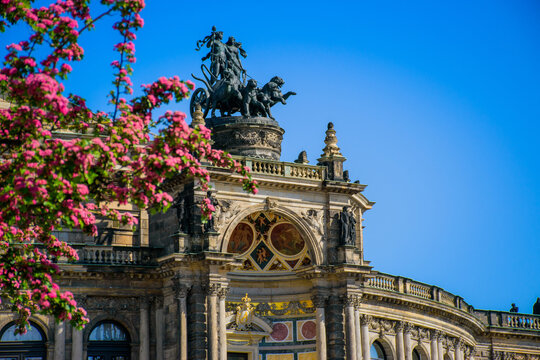 Dresden Semper Opera theatre (Semperoper), front view in spring. Blooming branches on foreground.