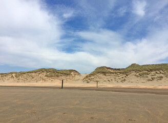 Fototapeta na wymiar beach and dunes