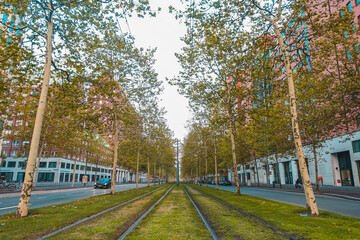 Viale alberato di Rotterdam - passaggio tram