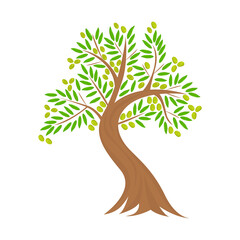 Flat vector cartoon illustration of an olive tree isolated on a white background. Design for packaging, advertising, banner.