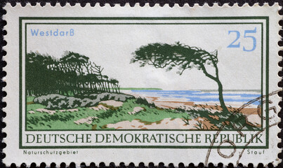 GERMANY, DDR - CIRCA 1966  : a postage stamp from Germany, GDR showing A drawing of the Westdarß nature reserve in the Fischland Darß area with a tree bent by the wind and a baltic sea