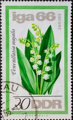 GERMANY, DDR - CIRCA 1966  : a postage stamp from Germany, GDR showing a Lily of the valley,...