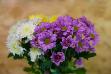 Bouquet of white, lilac, yellow chrysanthemums. Side view of spring flowers. Flowers for the beloved woman