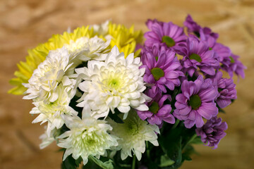 A bouquet of chrysanthemums (white, yellow, lilac) close-up Side view. Spring arrival. Flowers for the beloved woman