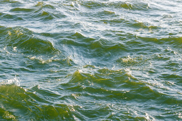 Sea green water wave background.