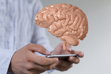 creativity  brain network neurogen digital iq