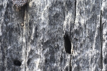 wood texture