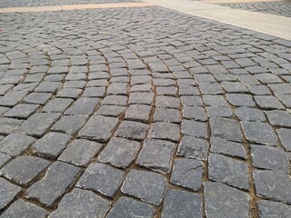 Fototapeta premium sidewalk in the park lined with tiles in the spring season