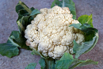 Fresh cauliflower on granite background