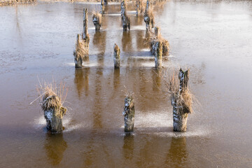 frozen river in winter