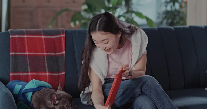 Lovely Chinese Young Woman Staying Home Casual Apartment Playing with Pet Cute Little Bulldog Puppy Enjoying Leisure Time Together.
