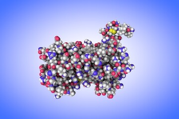 Molecular model of human prolactin. Atoms are represented as spheres with conventional color coding: carbon (grey), hydrogen (white), oxygen (red), nitrogen (blue), sulfur (yellow). 3d illustration